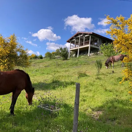 Mountain Log Cabin O Garrano