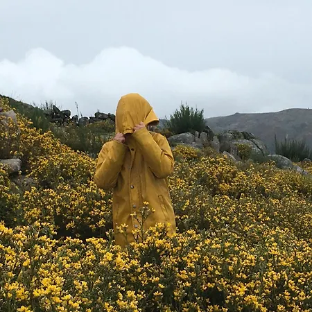 Mountain Log O Garrano 카베세이라스 드 바스투