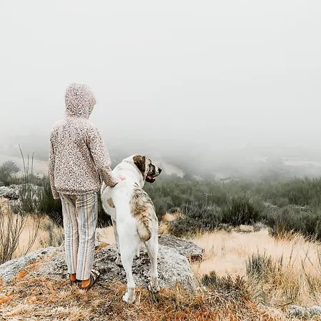 Mountain Log O Garrano * Cabeceiras de Basto