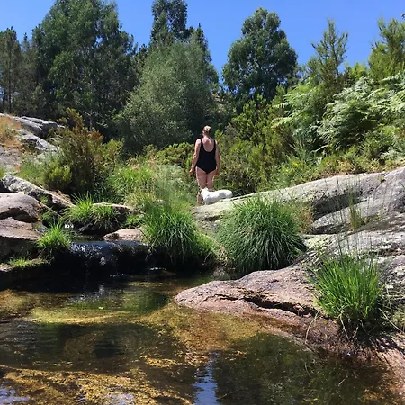 Mountain Log O Garrano *
