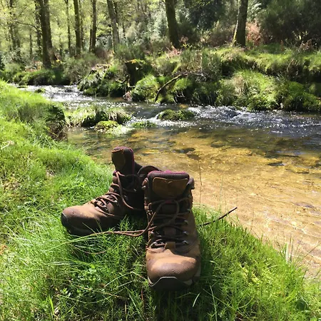 Mountain Log O Garrano *