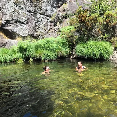 Mountain Log O Garrano