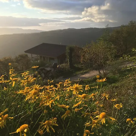 샬레 Mountain Log O Garrano 카베세이라스 드 바스투