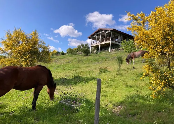 Mountain Log O Garrano