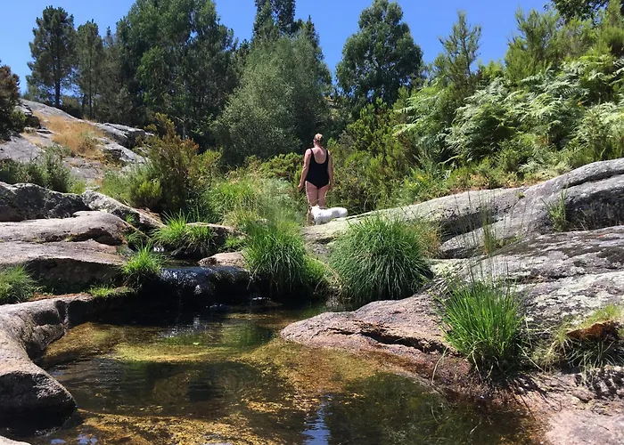 Mountain Log O Garrano *