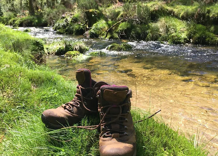 Mountain Log O Garrano *
